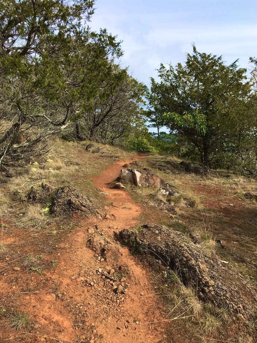 RachelTheRamblr's tweet photo. @Touchse @Giselleinmotion @CharlesMcCool @perthtravelers @SCHV_cottages From the last week ~ 1st week of official spring🌿#Top4Outside #top4theme #ramblr #pnw https://t.co/z2zIIci4D2