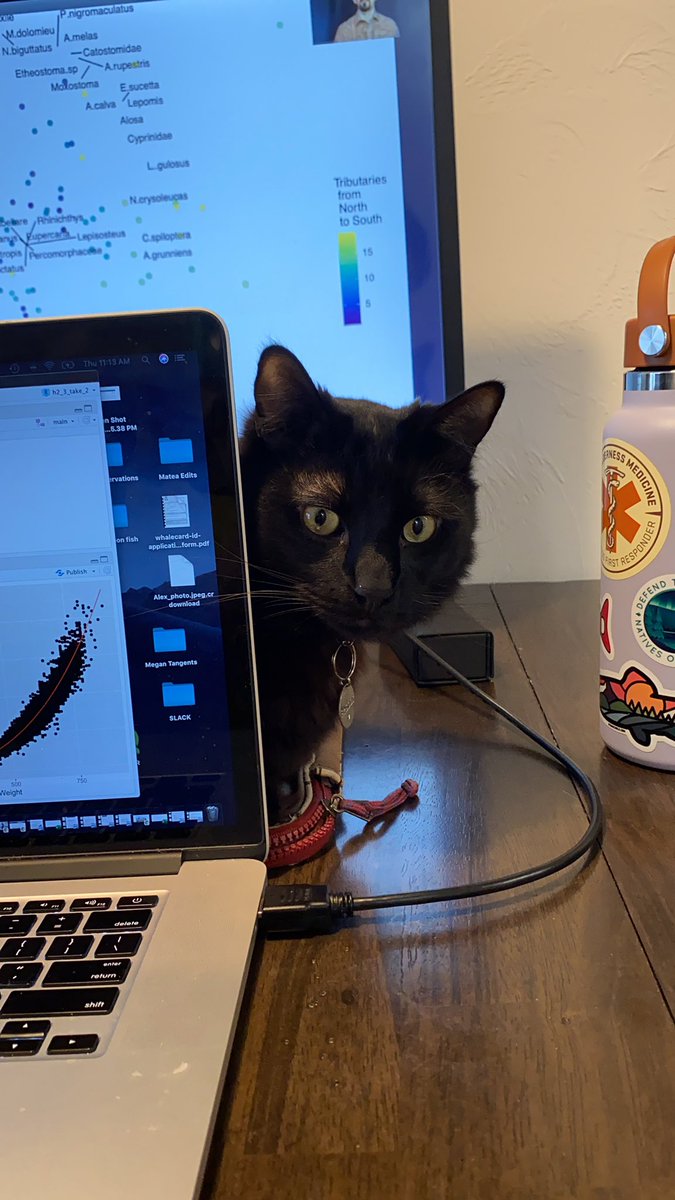 Fishy_Science_'s tweet photo. Dedicated study buddy https://t.co/iw7tuFOHE2