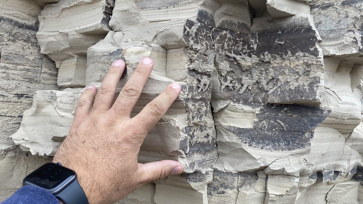 jkkruse's tweet photo. You don’t see soil structure like this very often in Florida. #soils #pedology #idaho #roadcut https://t.co/4asHKyeojH
