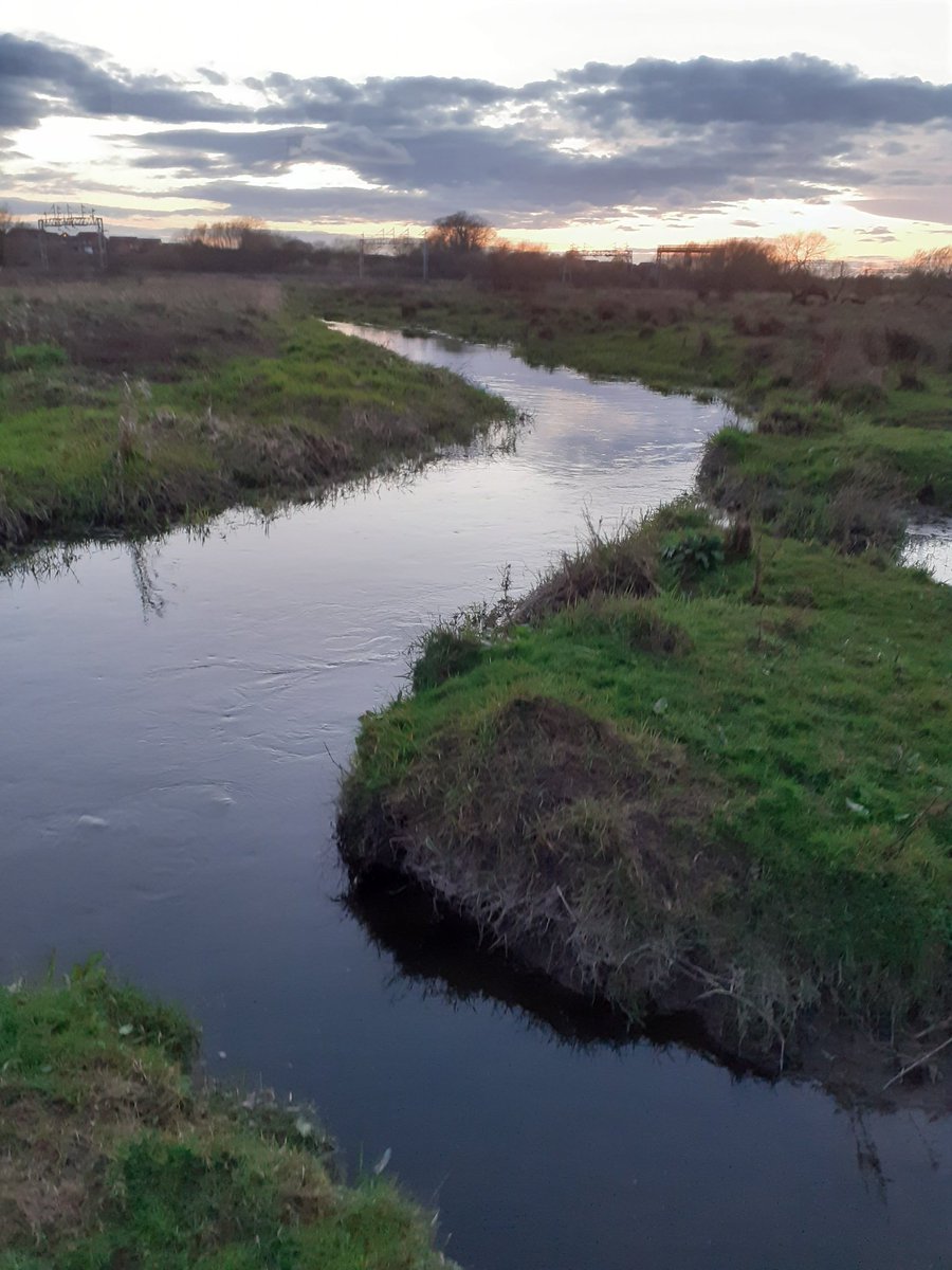 Doxey marshes dusk walk 🌕, lots of activity 🦢🦆 at that time. River level quite stable now after a dry spell.