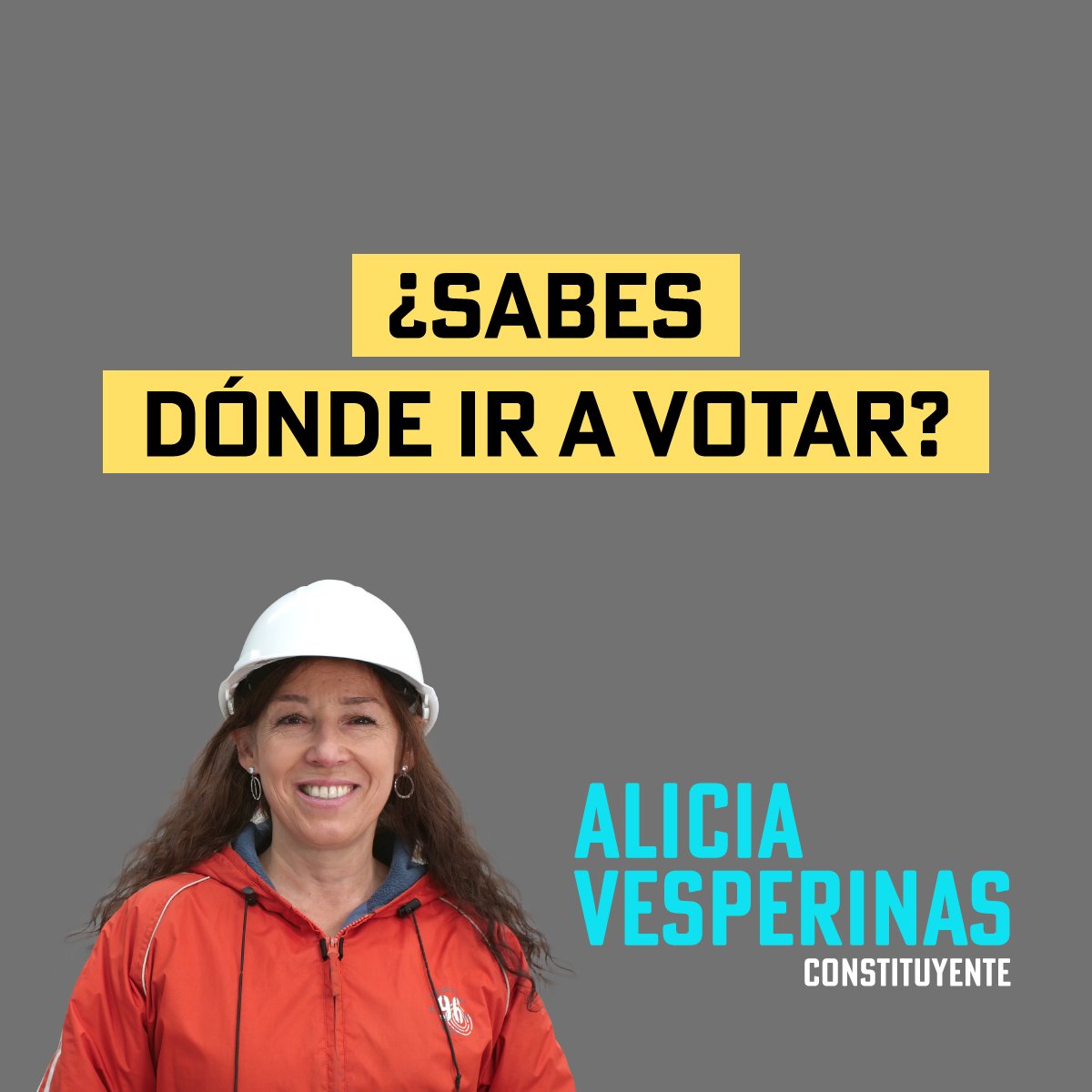 Consúltalo en el Servicio Electoral de Chile. Entra en consulta.servel.cl y verifica tus datos.