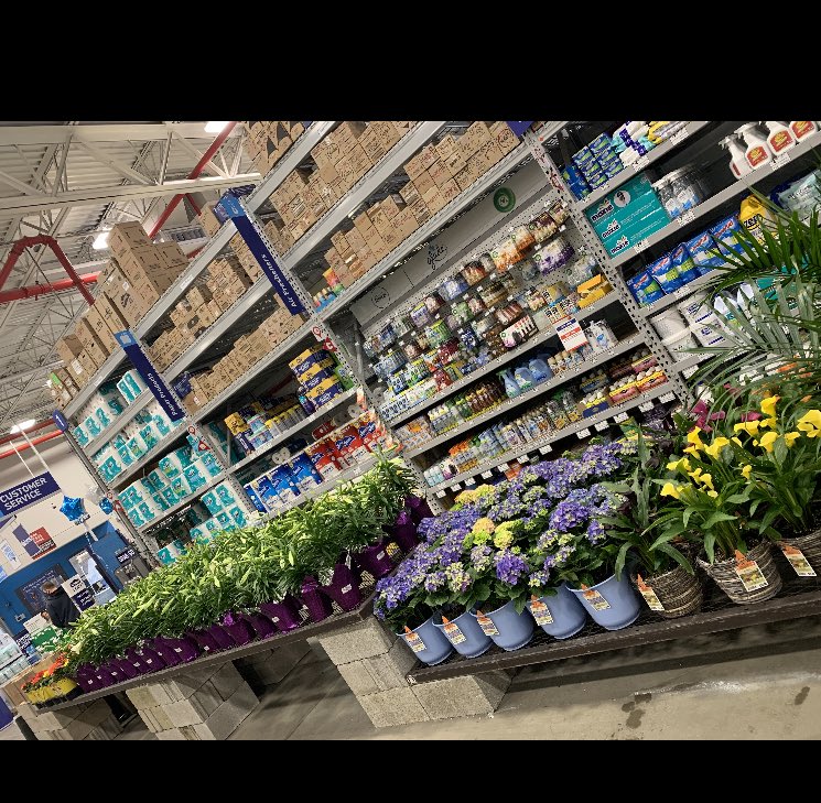 Alyssa Haag (@evandadamgarden) on Twitter photo Easter is right around the corner! Come shop our beautiful selection <a href="/Lowes1597/">Lowe’s 1597</a> <a href="/ck_schelmety/">CK Greenhouses</a> @jfplantpartners #Easter #spring #flowers Easter is right around the corner! Come shop our beautiful selection <a href="/Lowes1597/">Lowe’s 1597</a> <a href="/ck_schelmety/">CK Greenhouses</a> @jfplantpartners #Easter #spring #flowers
