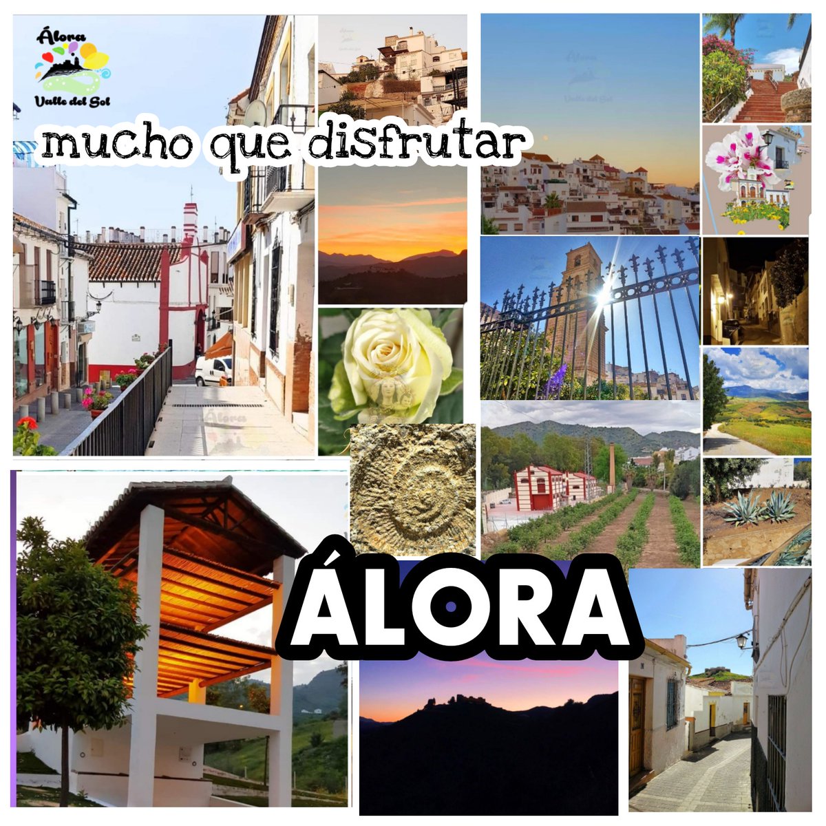 AloraValledeSol's tweet photo. #Álora mucho q disfrutar

#ÁloraValledelSol #alora #ValledelSol #caminitodelrey #Áloramunicipioturístico #municipioturístico #visitaalora #visitsalora #pueblosbonitosdeEspaña #travel #viaje #turismo #Naturaleza #nature #gentebonita #Sol #calor #vida #Alegría #color #disfrutaÁlora https://t.co/JzXAPfjvya