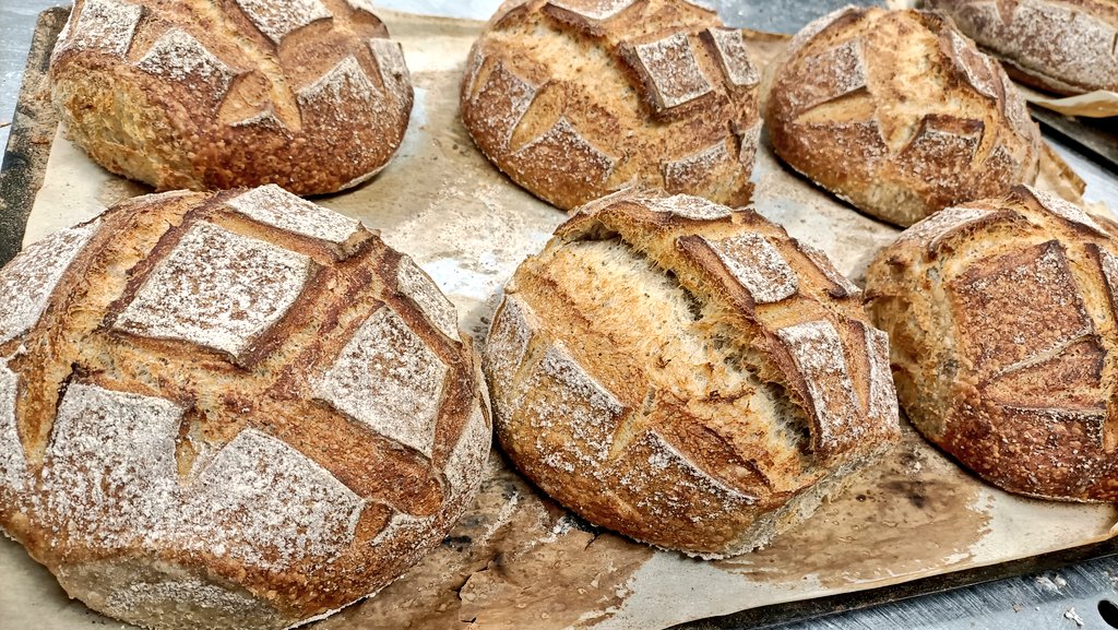 Poppy Sourdough Bread 🥖
<a href="/MortonsofGalway/">Morton's of Galway</a> 
#local #artisan #realbread
<a href="/KellsWholemeal/">Kells Wholemeal</a> <a href="/The_littleMill/">The Little Mill</a> 
<a href="/villagesalthill/">The Village Salthill</a>