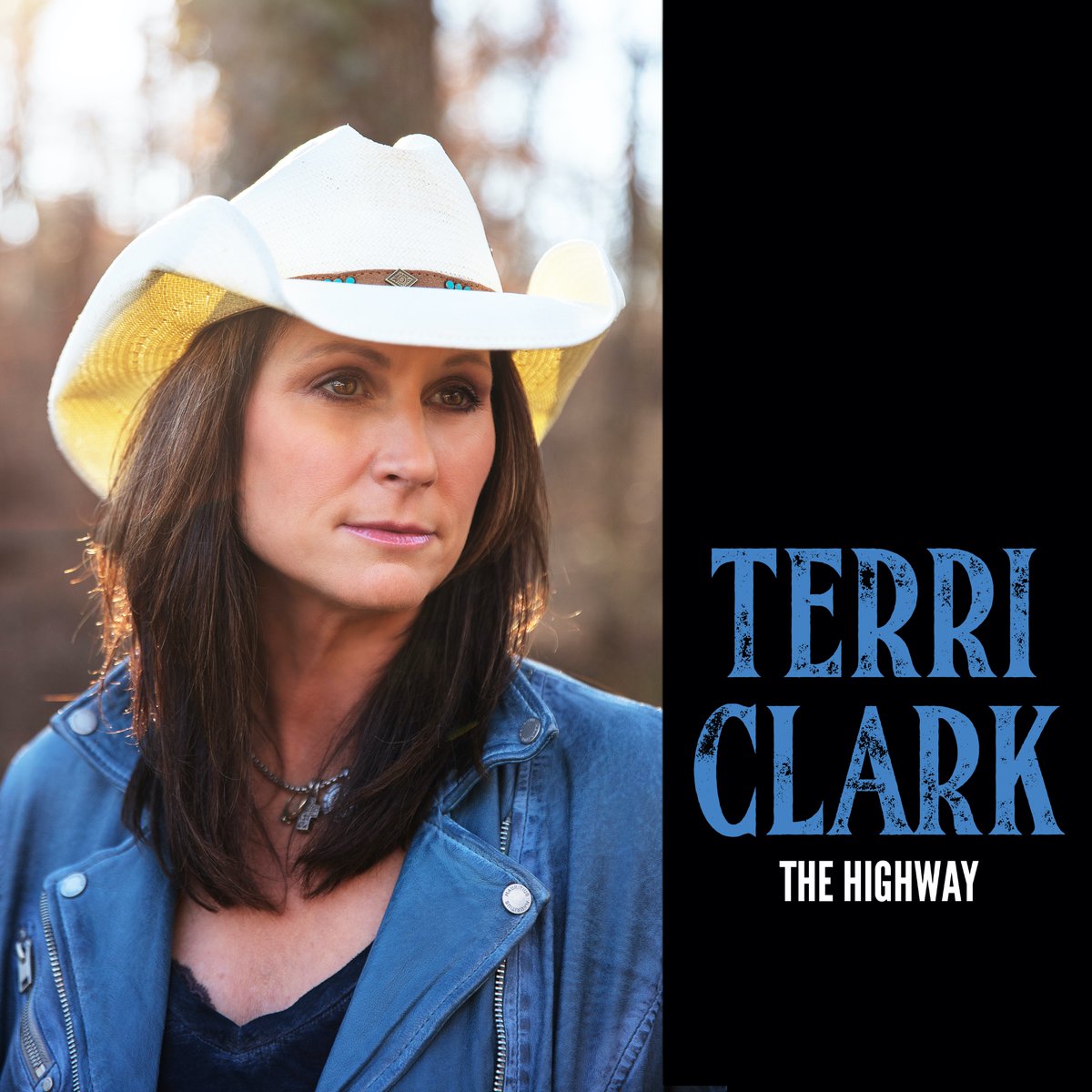 terri clark new song