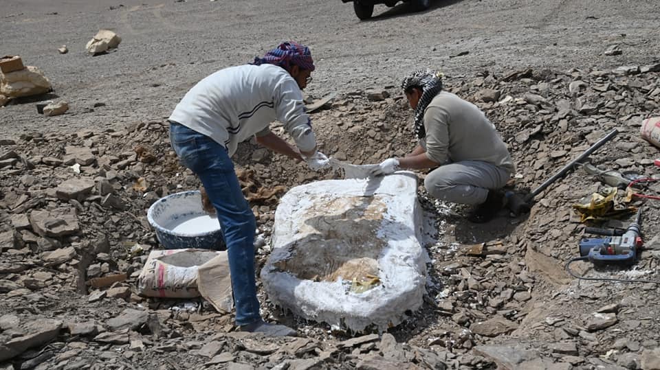 liacp3's tweet photo. #Egipto Un equipo de la Universidad de Al Wady Al Yadid descubrió gigantescos fósiles marinos de más de 70 millones de años al sur del oasis Dajla, en el Desierto Occidental @PrensaLatina_cu https://t.co/kHVOcx79x4 https://t.co/hfcsbJVCWb