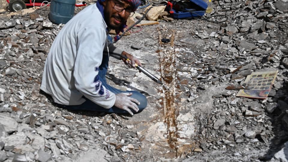 liacp3's tweet photo. #Egipto Un equipo de la Universidad de Al Wady Al Yadid descubrió gigantescos fósiles marinos de más de 70 millones de años al sur del oasis Dajla, en el Desierto Occidental @PrensaLatina_cu https://t.co/kHVOcx79x4 https://t.co/hfcsbJVCWb