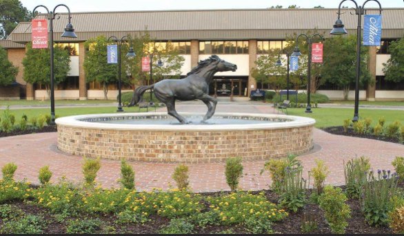robinwh1t3head's tweet photo. Blessed to receive a full ride offer from Coach Miller at University of South Carolina Aiken! #coachcjASRG https://t.co/bRE650PuNs