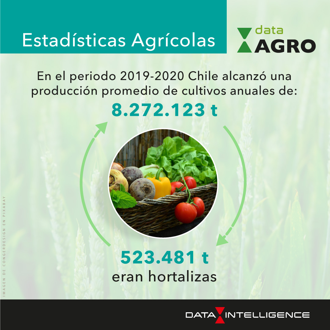 data_int's tweet photo. #Agricultura 2019-2020 Chile alcanzó una producción promedio de cultivos anuales de: 8.272.123 t https://t.co/b8Fk8EQSXb https://t.co/lc4YJlLGKC