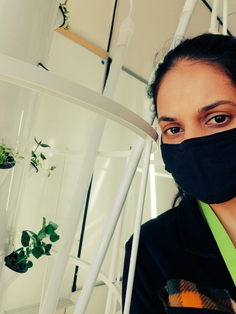 Jeelaniu's tweet photo. @ATALocal48 #ataymmotivation @ShannonDube6 @GreenSceneFMPSD Garden towers - still counts as gardening :) https://t.co/7a004GAAPM