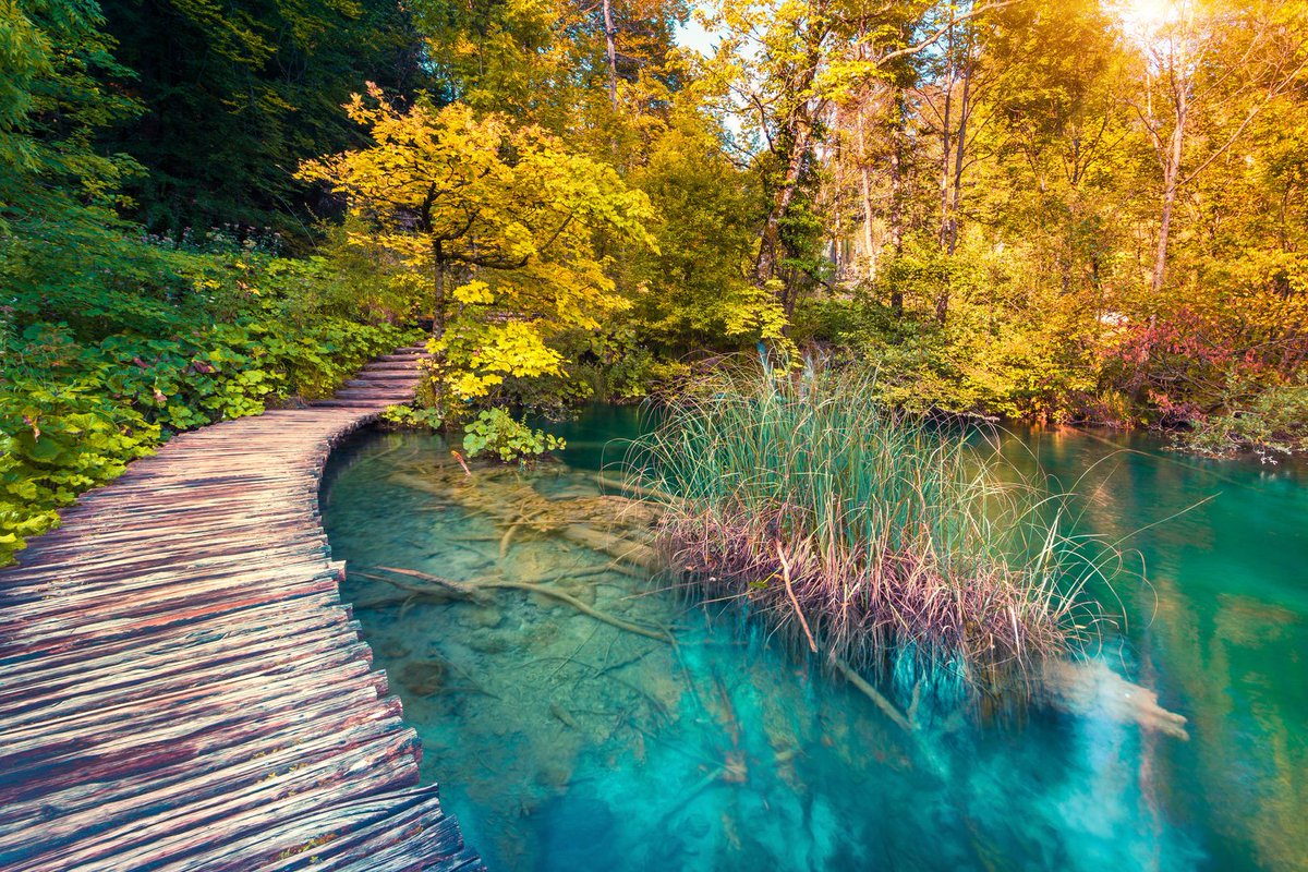 visitteo's tweet photo. Visiting Plitvice Lakes may well be the highlight of any trip to Croatia. It is surely one of Europe's most spectacular natural wonders and pleasures at any time of year. #plitvicelakes #croatiafullofnature #nature https://t.co/NCCmgsiv6I