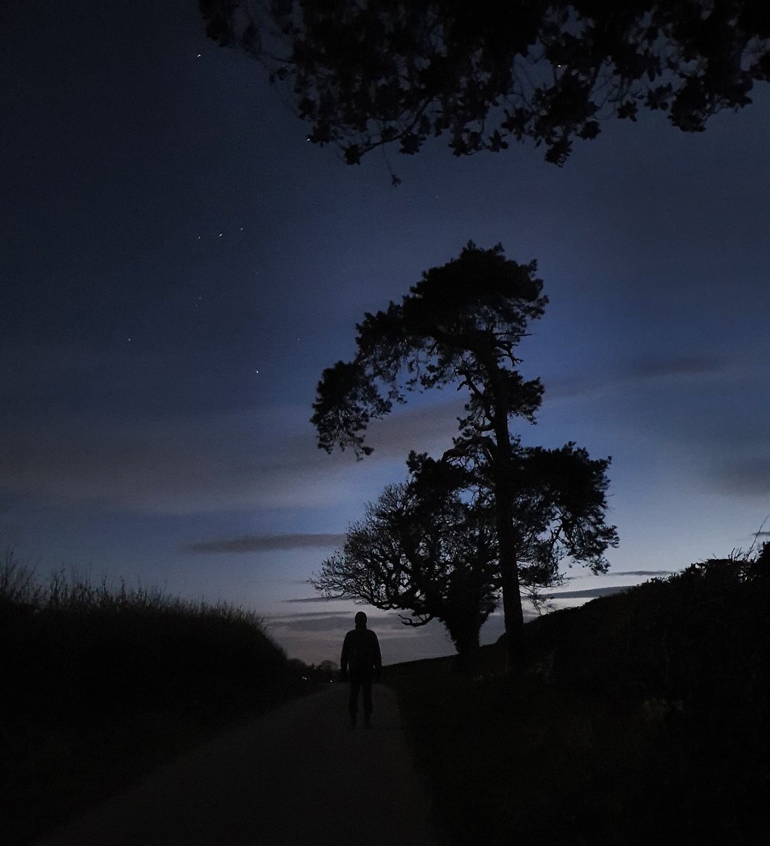 JackyP599's tweet image. Walking by the light of the moon, by my favourite tree, as we were graced by the ISS passing overhead. 
#iss  #northyorkshire #lockdownwalk