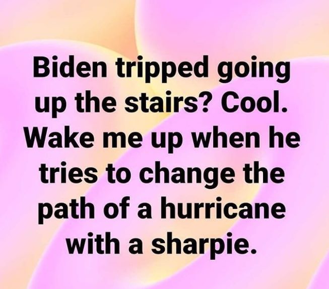 KindSirPaul's tweet photo. @DonaldJTrumpJr @paintfiction https://t.co/3IdnZOZuH4