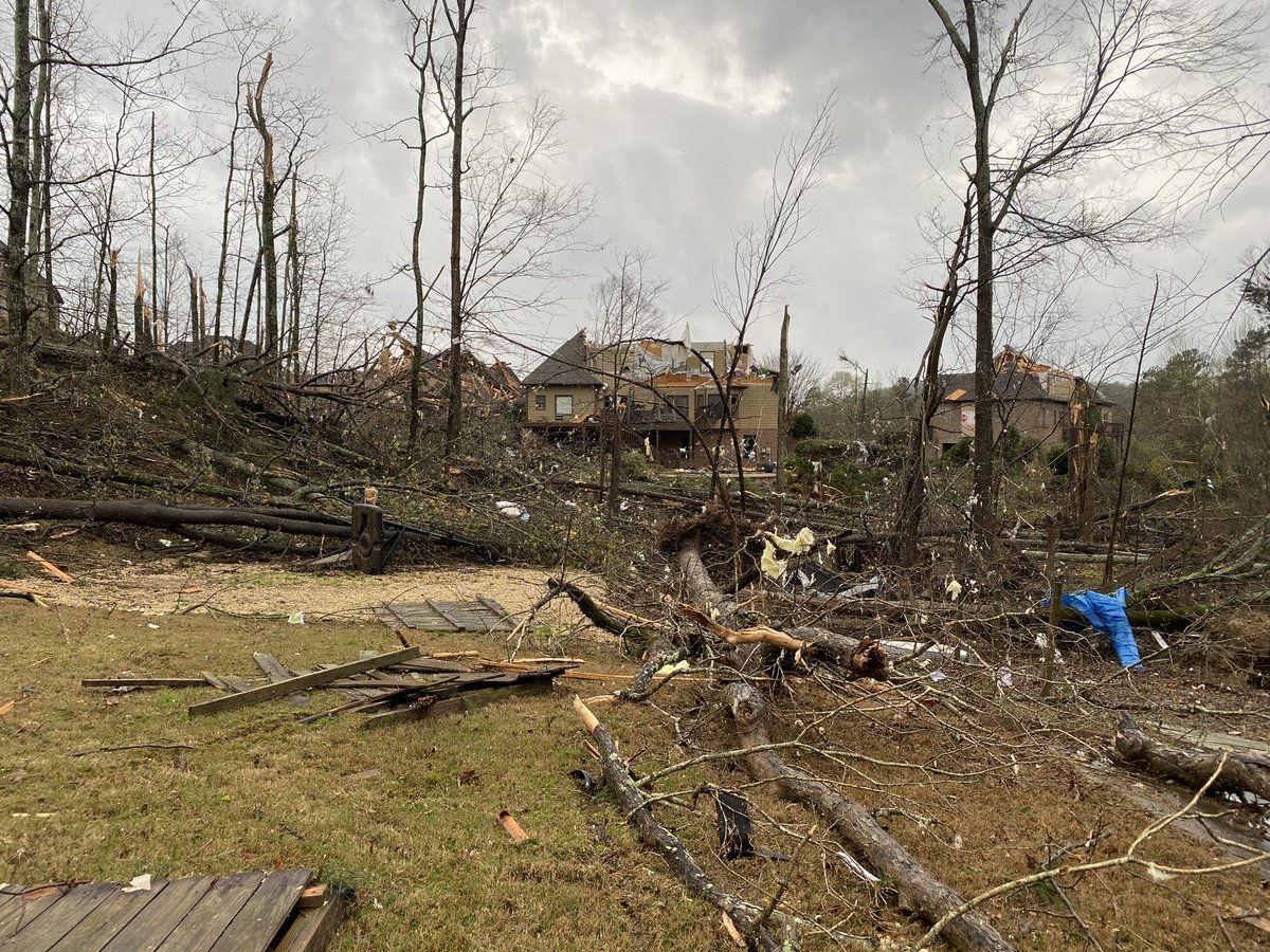 Ginger Zee tweet media