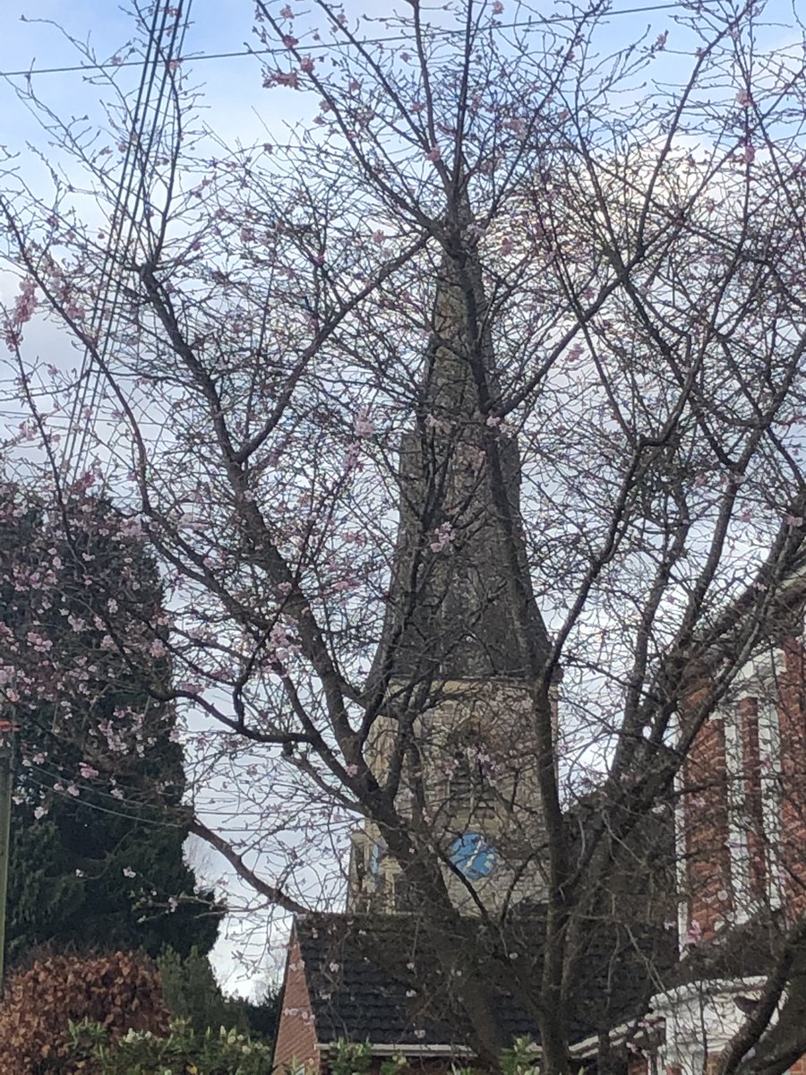 Cal_the_vet's tweet photo. Signs of spring on my run into work. #centurioncommunity #thesevetsrun #runcommute https://t.co/k0R7o7EilV