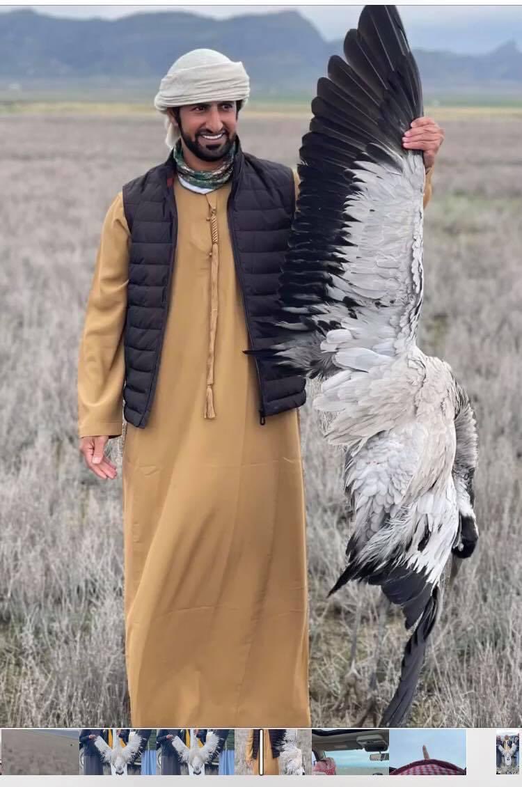 Qarşılarına çıxan hər şeyi məhv edirlər. Heç bir qırmızı xətt yoxdur. 

Qax Dövlət Təbiət Yasaqlığı bu gün. 

Bu nadir Qafqaz durnasıdır (lat. Grus grus archibaldi). Çoxalan populyasiyanın sayı təbiətdə 200-250 cütdən ibarətdir!