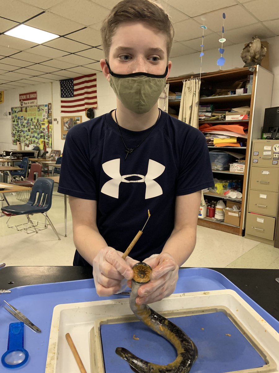 Dlanderspulaski's tweet photo. Investigating invasive sea lamprey structure and function  these @PCSD_PCMS ss took observation, curiosity and questioning to the max.  Thank you @LampreyControl for the lamprey and making this happen and @DrFishSG for connecting us #raiderstrong #GreatLakes @UWiscSeaGrant https://t.co/64WUWpZJK7