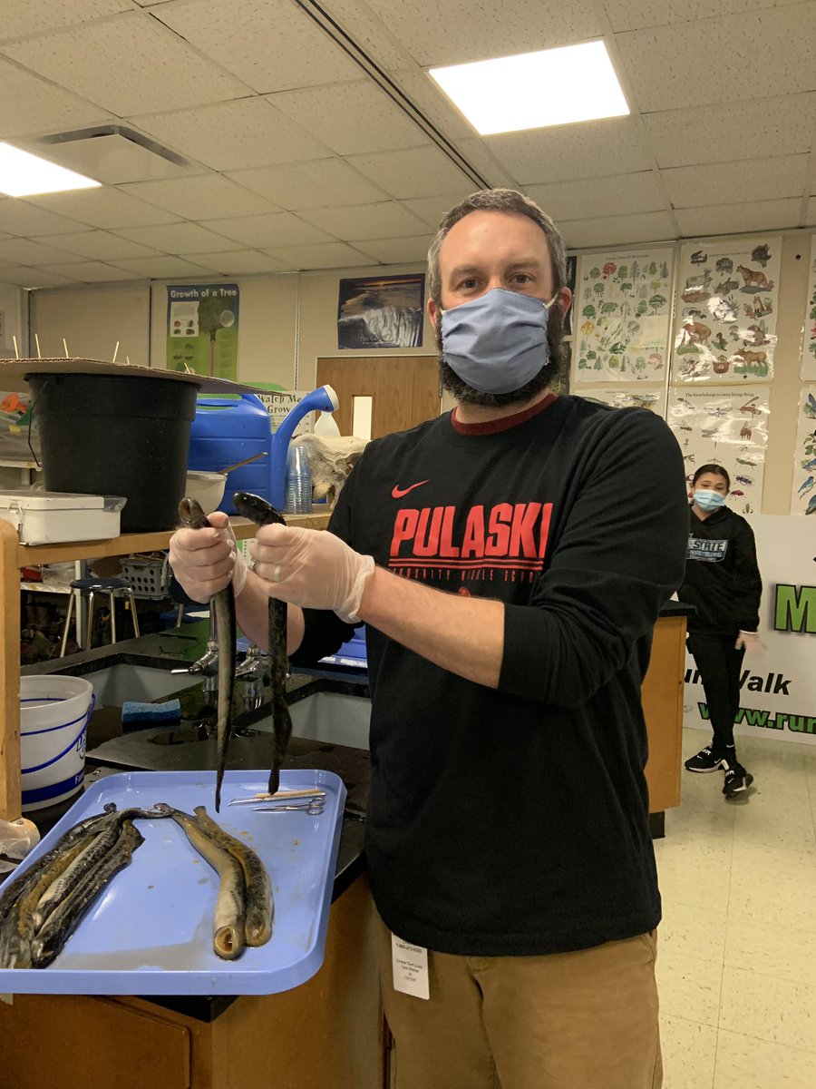 Dlanderspulaski's tweet photo. Investigating invasive sea lamprey structure and function  these @PCSD_PCMS ss took observation, curiosity and questioning to the max.  Thank you @LampreyControl for the lamprey and making this happen and @DrFishSG for connecting us #raiderstrong #GreatLakes @UWiscSeaGrant https://t.co/64WUWpZJK7