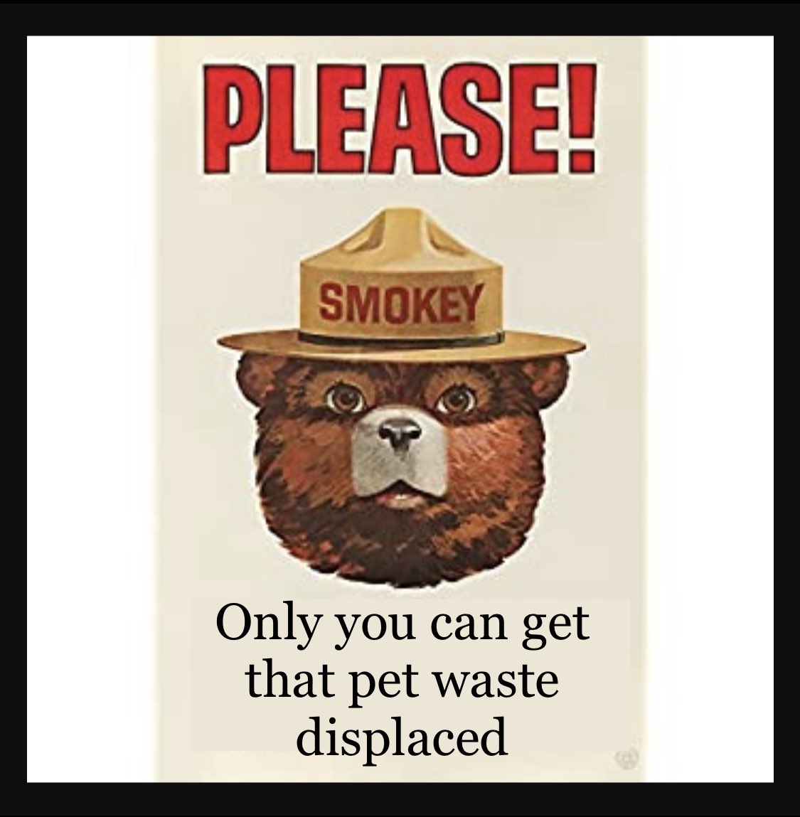 Poop Busters Poop Busters Indy (@poopbustersindy) / Posts / X