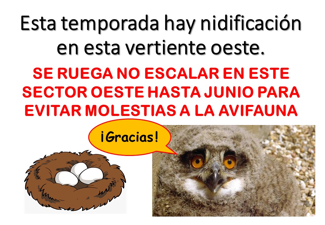 Asrm112Murcia's tweet photo. En colaboración con @aamm_murcia, rogamos que no se escale en el sector Oeste del Cabezo del Castillo de los Garres por nidificación de aves hasta nuevo aviso. Respetando la Naturaleza nos respetamos a nosotros mismos. En las vías de la cara Sureste sí se puede escalar. Gracias https://t.co/RVceb3y1OR