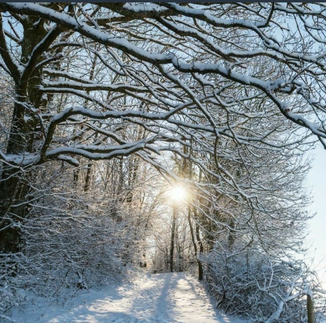 buserubyjanee's tweet photo. Bu kar                                   Bu karım https://t.co/JJoLW30HQc