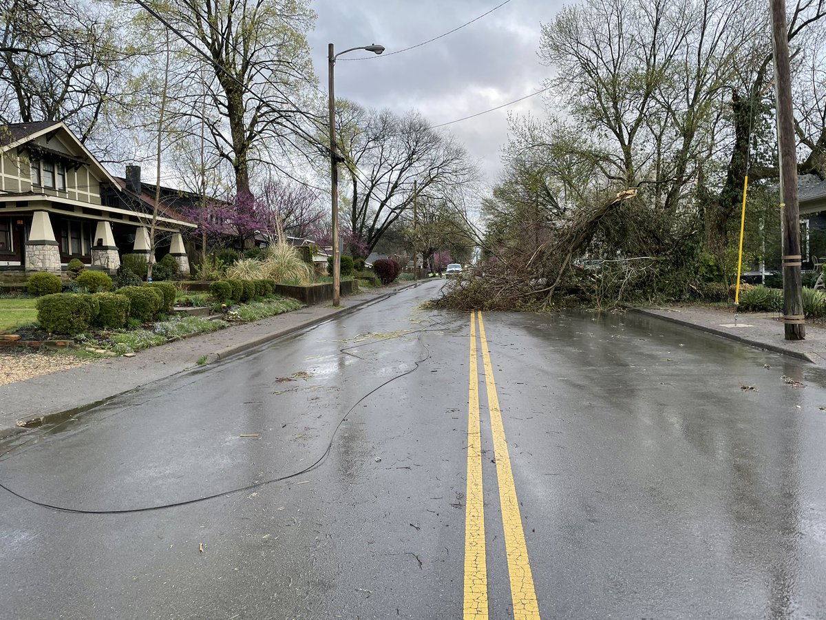 PaigePfleger's tweet photo. There are fallen trees and downed power lines from the storms in East Nashville. @NashSevereWx @WPLN https://t.co/i1sq1KShBu