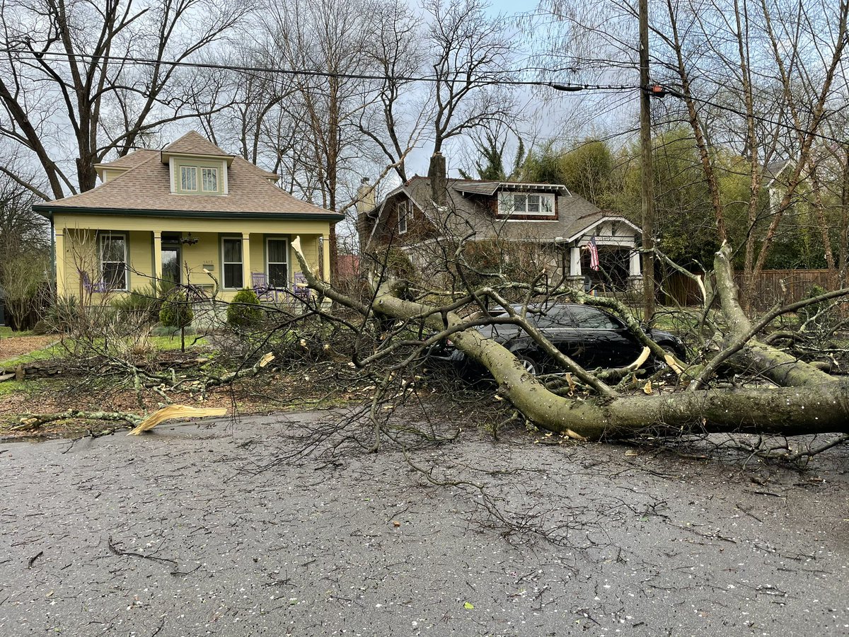 PaigePfleger's tweet photo. There are fallen trees and downed power lines from the storms in East Nashville. @NashSevereWx @WPLN https://t.co/i1sq1KShBu