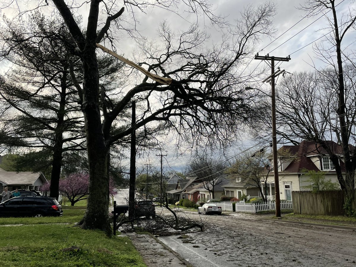 PaigePfleger's tweet photo. There are fallen trees and downed power lines from the storms in East Nashville. @NashSevereWx @WPLN https://t.co/i1sq1KShBu