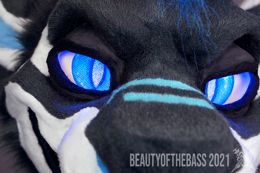 Beautyofthebass's tweet photo. More pictures! https://t.co/8Ej5Dxnpwi