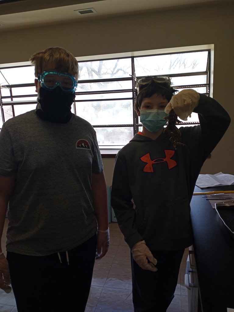 WMSGlendive's tweet photo. Frog dissection lab in 7th Science today!  GO DEMONS!!!
#WMSDEMONS
#GPSPRIDE https://t.co/lF5ZZOamEj
