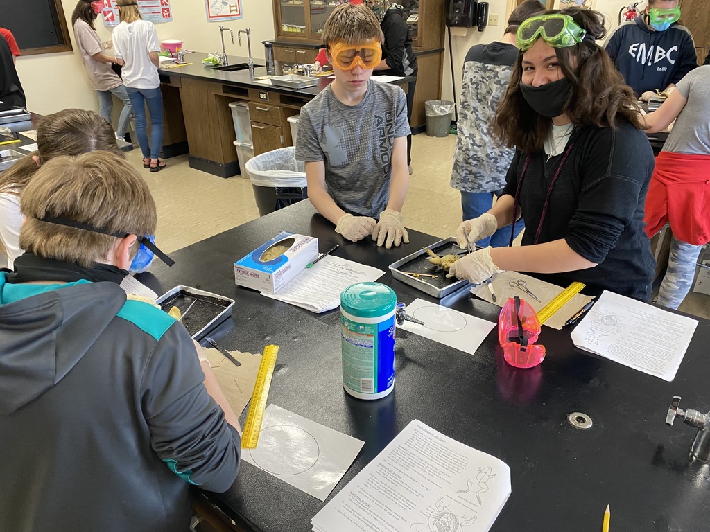 WMSGlendive's tweet photo. Frog dissection lab in 7th Science today!  GO DEMONS!!!
#WMSDEMONS
#GPSPRIDE https://t.co/lF5ZZOamEj