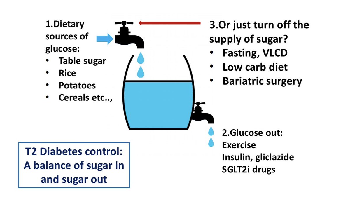 lowcarbGP's tweet photo. So @DocRunner1 Our UK NHS GP practice has 97 cases of drug free T2 Diabetes remission by TURNING OFF THE SUPPLY OF SUGAR 👏👏 That is 52% of our patients who chose the low carb approach 👍 The race is on to get to 100 🏃‍♂️🏃‍♂️@DrAseemMalhotra @rcgp @DiabetesUK @tom_watson https://t.co/4oQAFfEoz3