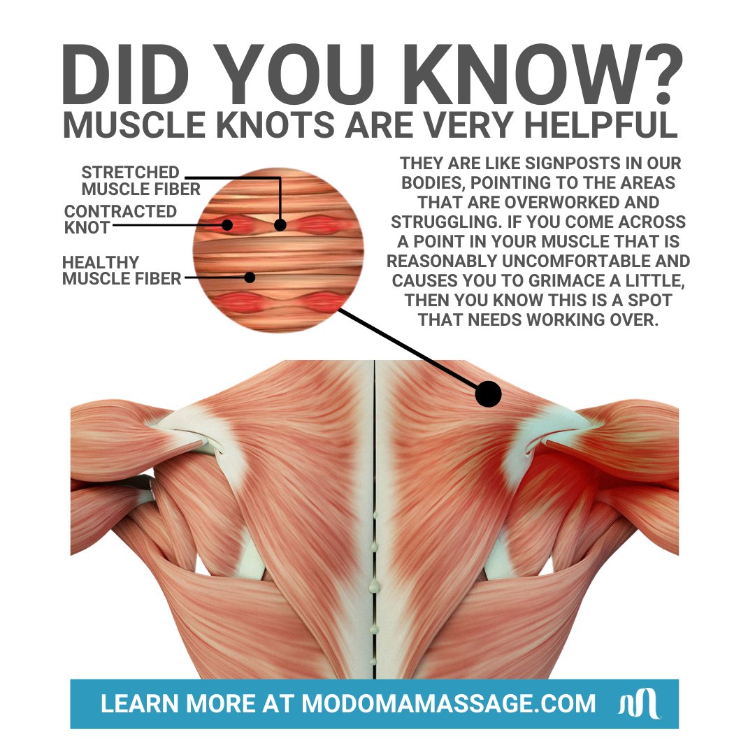 ModomaWellness's tweet photo. Did you know that muscle knots are very helpful? 

➤ #modoma #modomawellness #recovery #posture #muscleknots #musclepain #musclepainrelief #healthiswealth #healthtips #dallashealth https://t.co/BQkj7T8040