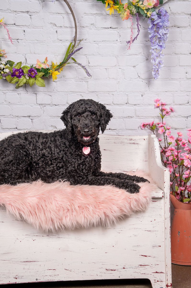 RobBrewington's tweet photo. This 1 Year old took “spring photos” https://t.co/Fs9AllpJBq