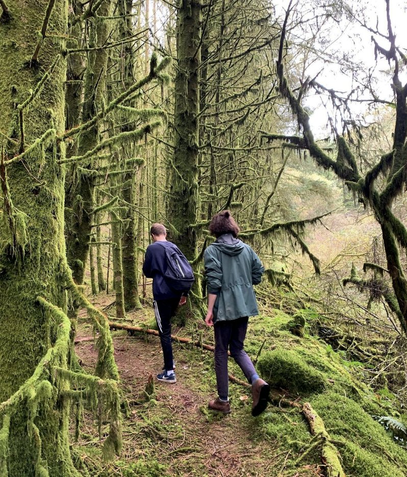 Visit Brechfa Forest tweet media
