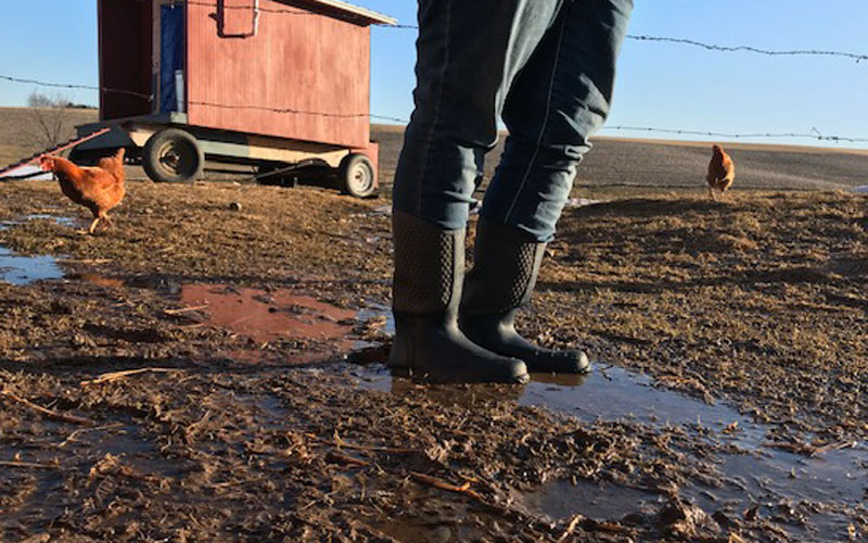 GardenJunkie1's tweet image. Farm life (and possibly chicken) approved: LaCrosse Women’s Alpha Lite Boots: Review bit.ly/2ZWmeqH #gpreview #productreview @lacrosse1897 #lacrosseboots #workboots #farmlife #bootsforfarming