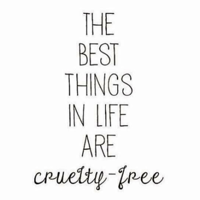 Mattie🌱Ⓥ🏴󠁧󠁢󠁳󠁣󠁴󠁿🏴󠁧󠁢󠁷󠁬󠁳󠁿 tweet media