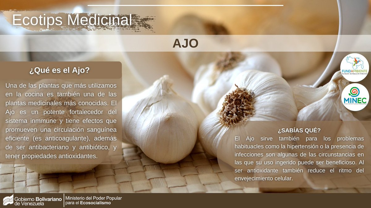 FundambienteC's tweet photo. #EcotipsMedicinal ¿Has visto los beneficios que trae el Ajo? #LaCovidNoEsCoba #25Ma #Saab #FANBEnDefensaDeLaDignidad #DeQueSeRieLasso #DosTemasALa1 #BinanceNFT #FelizJueves https://t.co/Ka6QfUeQfA