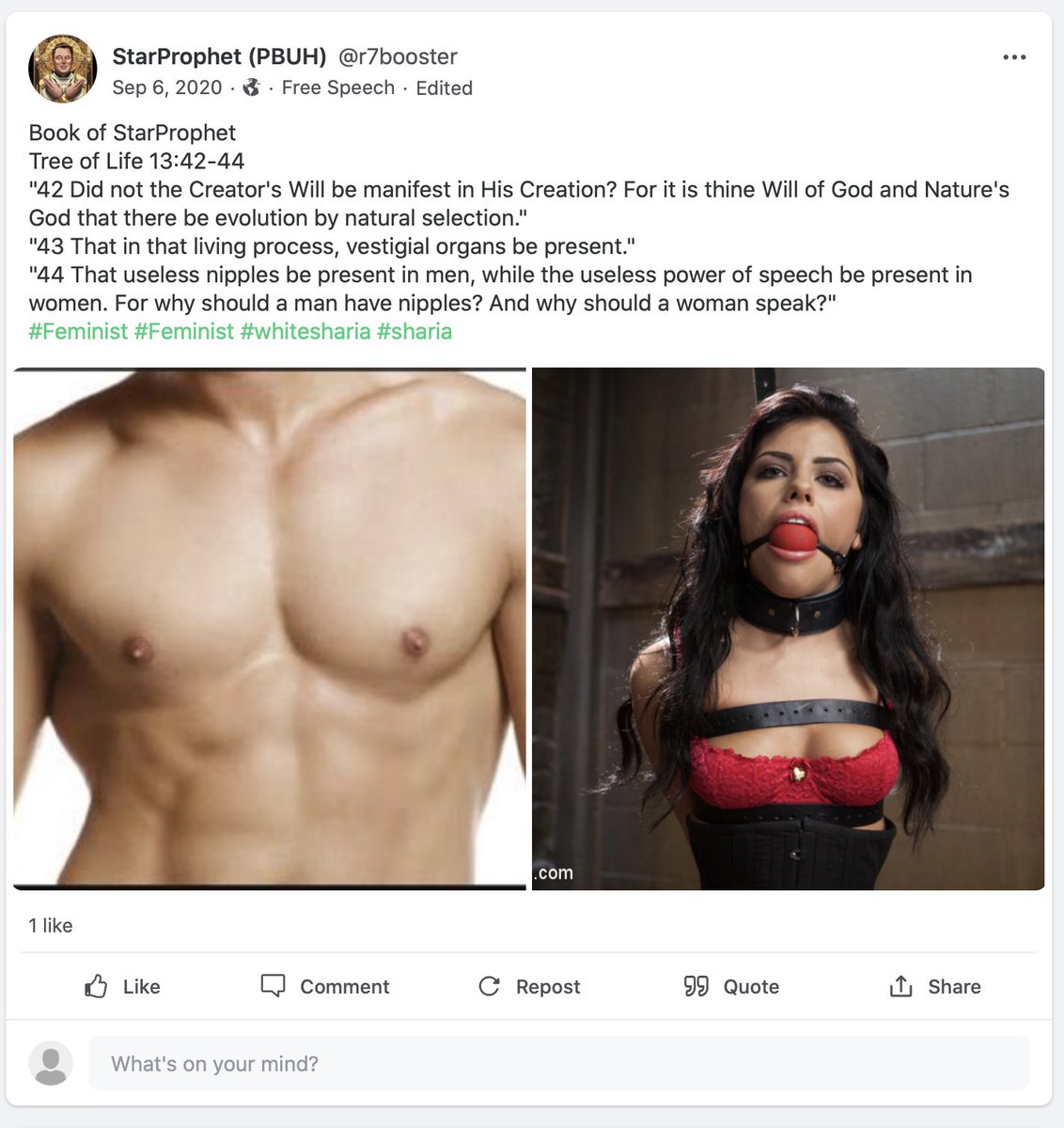 OverheardParler's tweet photo. “Look, if women are able to speak then why do I have nipples” has got to be the most wild “justification” for sexism we’ve heard in a while

#fuckthepatriarchy #gab https://t.co/qa3Ol61Njl
