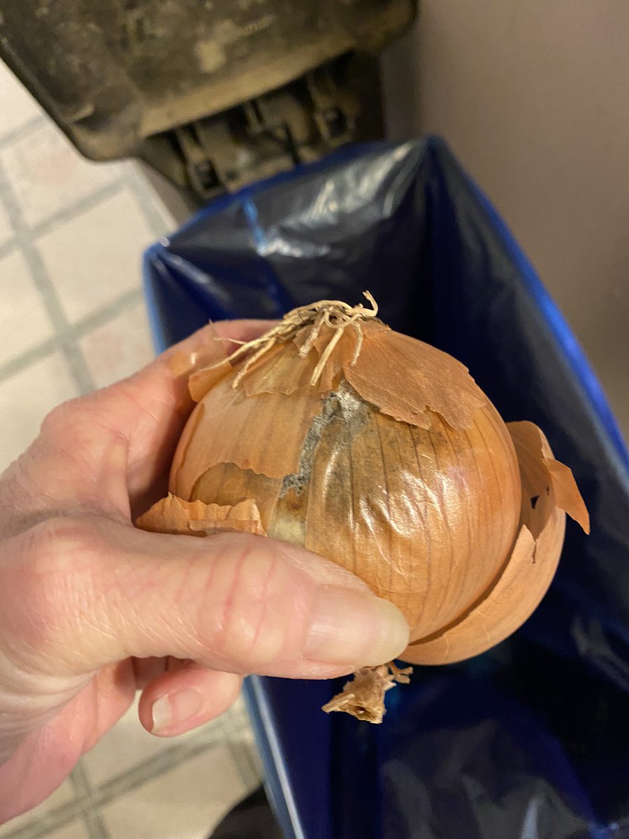 mindyct's tweet photo. @Publix  Brand new bag purchased on Monday and I had to throw half a bag away Monday night. No way to send photos on your contact form. https://t.co/FXmI1G93Tk