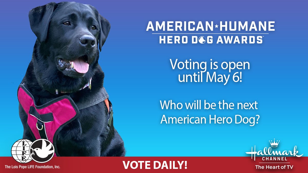 HeroDogAwards's tweet photo. ATTENTION! Voting is now OPEN for the 2021 #HeroDogAwards! Meet the 411 amazing nominees at https://t.co/QIs8SubPXs and don’t forget to vote daily for your favorite in each category! Let the voting begin! https://t.co/BY6ekJn3zu