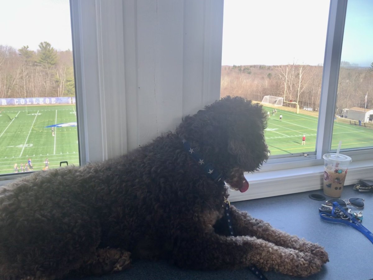 Becker Womens Hockey tweet media