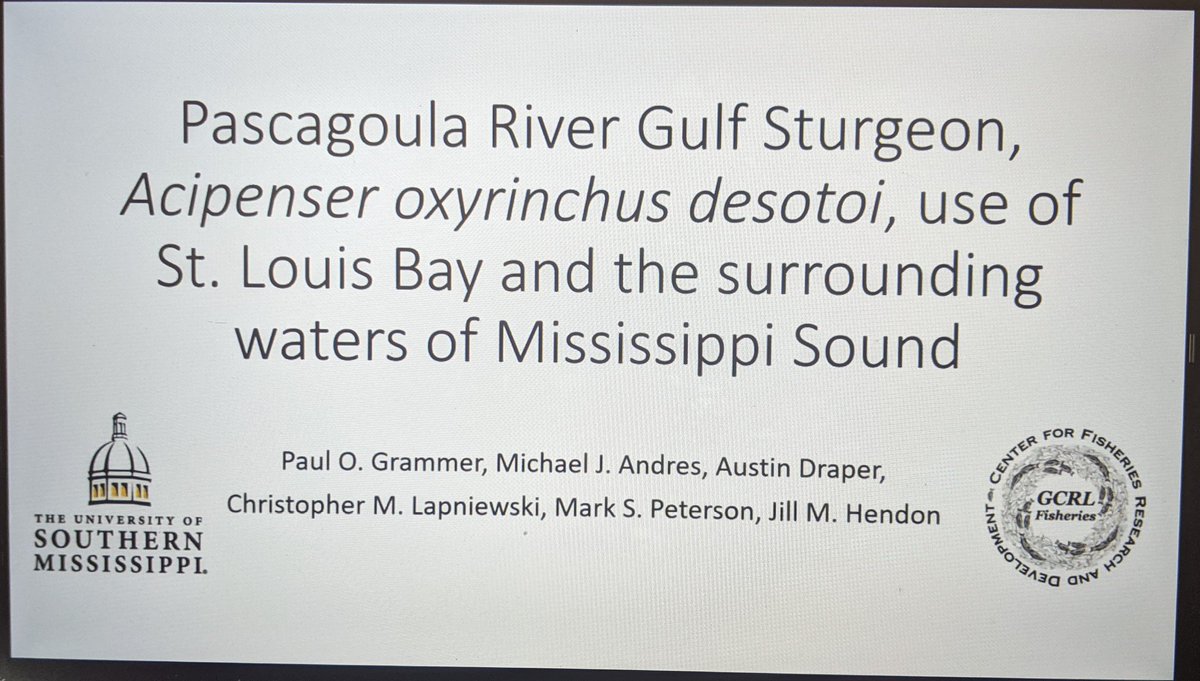 Sturgeon slam continues with Gulf Sturgeon movements through an array maintained by @USMSharkLab collaborators.