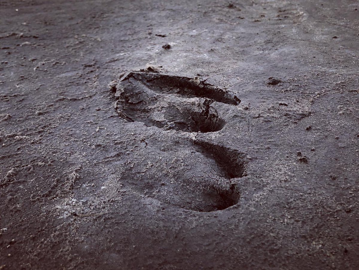 martinturnes's tweet photo. Última jornada de #rodaje en #LaPampa de @elhachafilm dir @romerodh prod @puentefilms
#cine #cineargentino #direcciondefotografia #cineinfrarrojo #BMpocket4k #LeicaR #infrared https://t.co/Lu4va2cIDW
