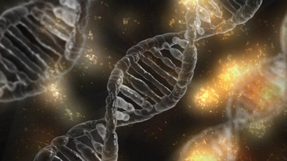 GlobalChangeBio's tweet photo. |Opinion|
"Quantifying the ‘evolutionary potential’ of populations to predict whether they will be able to adapt fast enough to forecasted changes is crucial to fully assess the threat for biodiversity posed by climate change" #genemapping https://t.co/Tcspymdxnf https://t.co/W6L0UhVf36