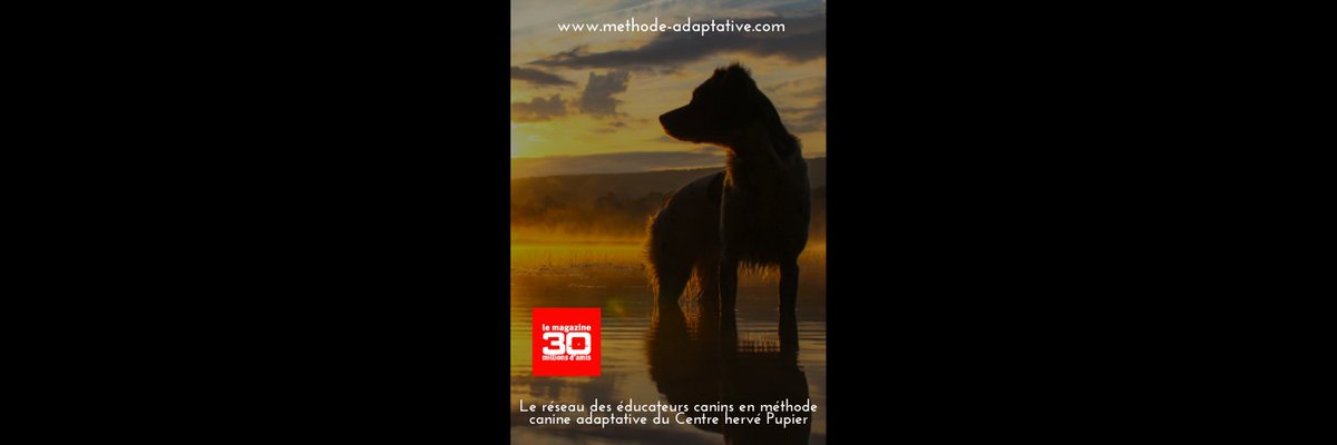 hervepupier's tweet photo. Le réseau des éducateurs canins en méthode canine adaptative du Centre Hervé Pupier sera présent sur votre magazine 30 millions d'amis de Mai, juin, Juillet et Aout 2021. 
Cordialement. Hervé Pupier. https://t.co/vC6V7iahGj https://t.co/DaXEMaFU7j