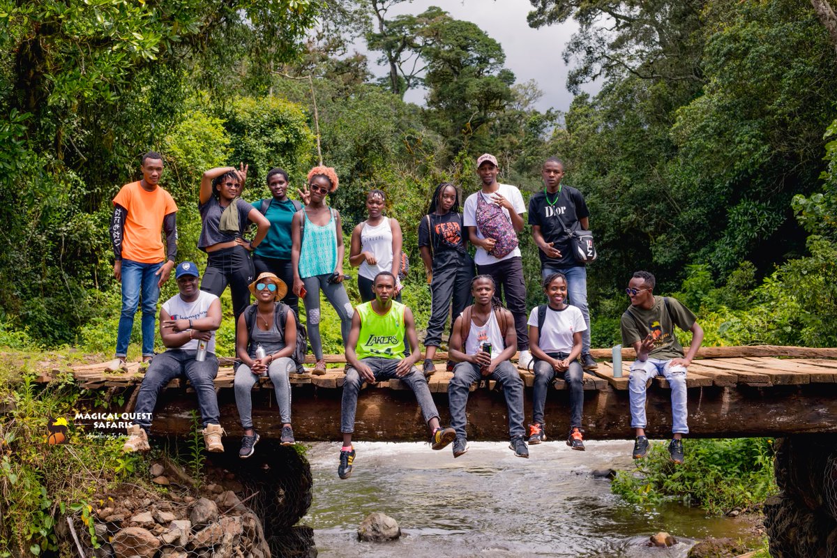 Magical_Safaris's tweet photo. There is no perfect time to visit #castleforest The weather is cool and hence recommended for inexperienced hikers & children. Hiking to the waterfall & breathtaking sceneries was the best of the 9km Hike. #hike Join us on our next adventure. Bookings on 0768962770. https://t.co/ugCz5XRXfA