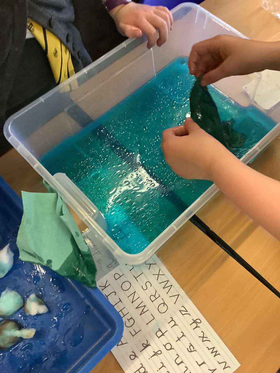 MissPhi13953382's tweet photo. Todays focus was oil pollution and how devastating it can be. The children had 3 different materials to try clean up the pollution, which they evaluated after as to which worked best. We used feathers to represent the effect that oil had on wildlife. 🌏🦦🌊
#primarygeography https://t.co/EDyz3iVvvh