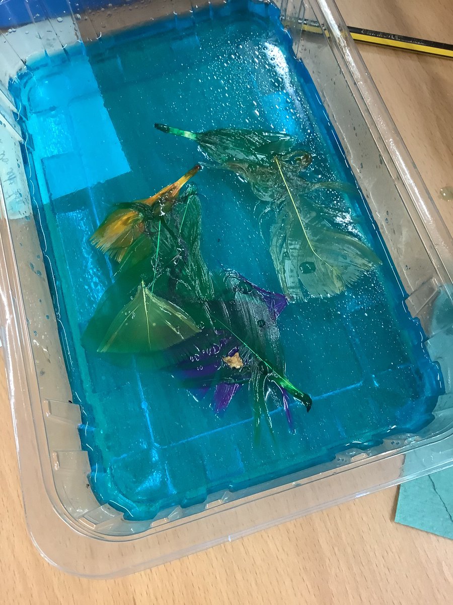 MissPhi13953382's tweet photo. Todays focus was oil pollution and how devastating it can be. The children had 3 different materials to try clean up the pollution, which they evaluated after as to which worked best. We used feathers to represent the effect that oil had on wildlife. 🌏🦦🌊
#primarygeography https://t.co/EDyz3iVvvh