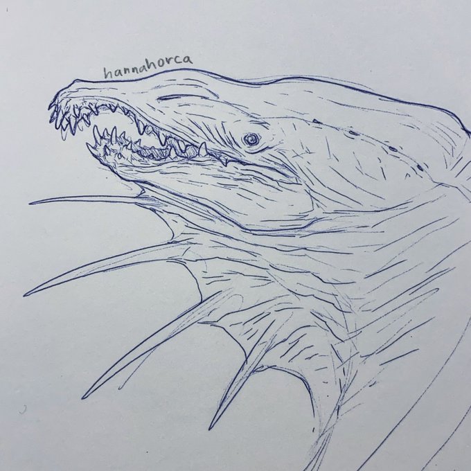 Salmon 